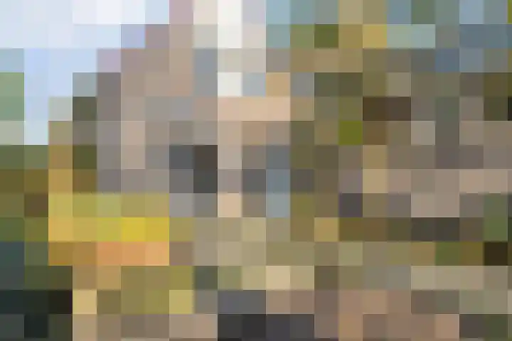 De Berken 1 Koekange thumbnail 37