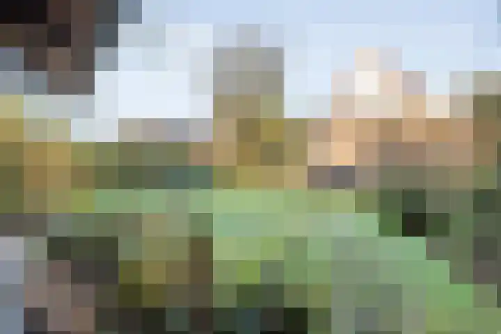 De Berken 1 Koekange thumbnail 39