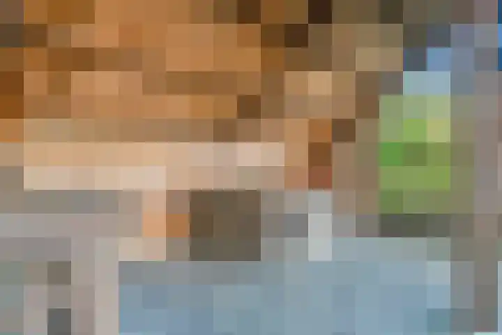 De Berken 1 Koekange thumbnail 40