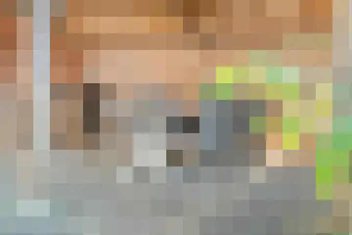 De Berken 1 Koekange thumbnail 41