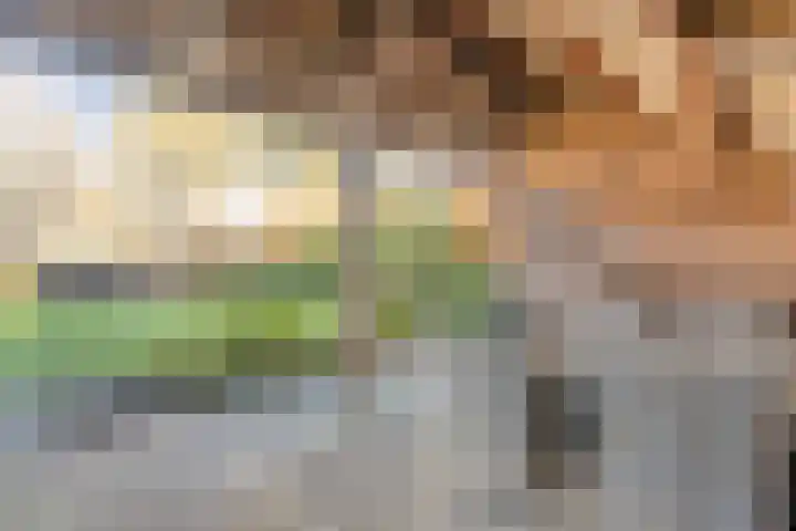 De Berken 1 Koekange thumbnail 42