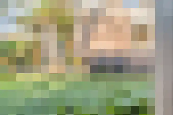 De Berken 1 Koekange thumbnail 43