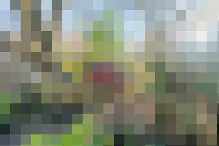De Berken 1 Koekange thumbnail 45