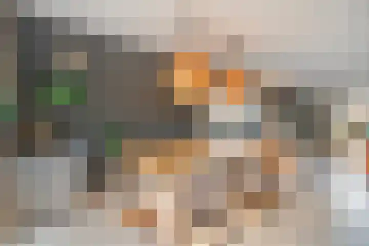 De Berken 1 Koekange thumbnail 5