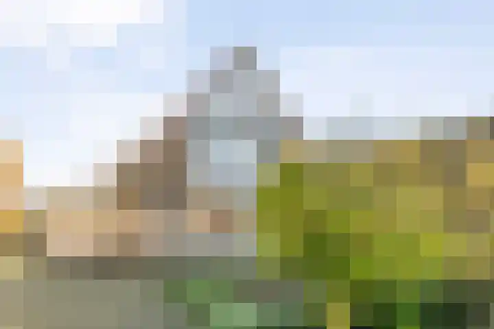 De Berken 1 Koekange thumbnail 50