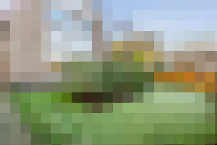 De Berken 1 Koekange thumbnail 51
