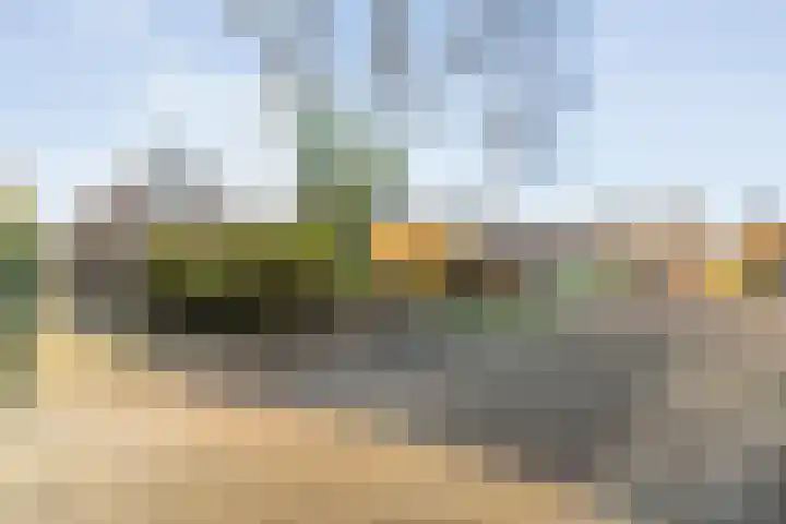 De Berken 1 Koekange thumbnail 52