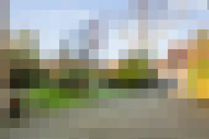 De Berken 1 Koekange thumbnail 54