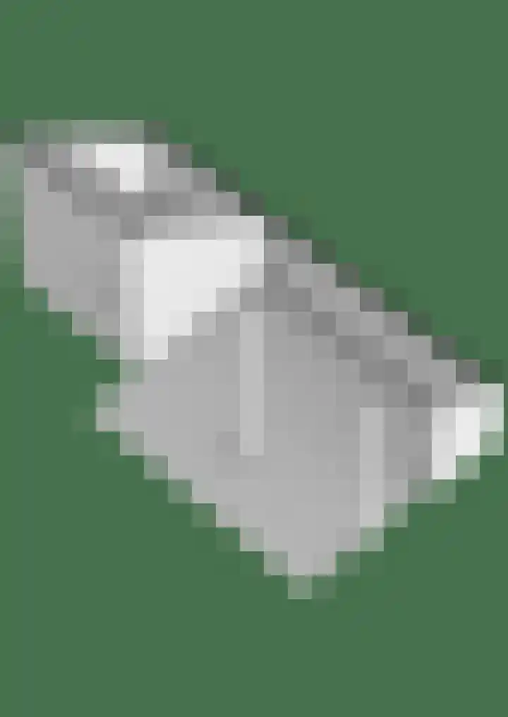 De Berken 1 Koekange thumbnail 62
