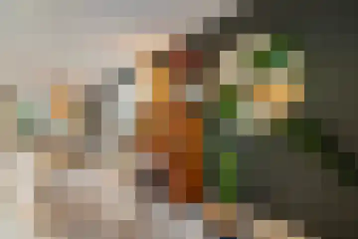 De Berken 1 Koekange thumbnail 9