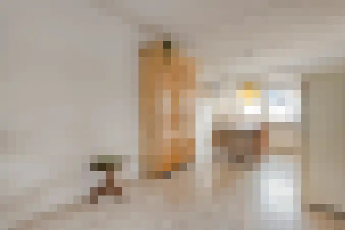 De Berken 13 Koekange thumbnail 12