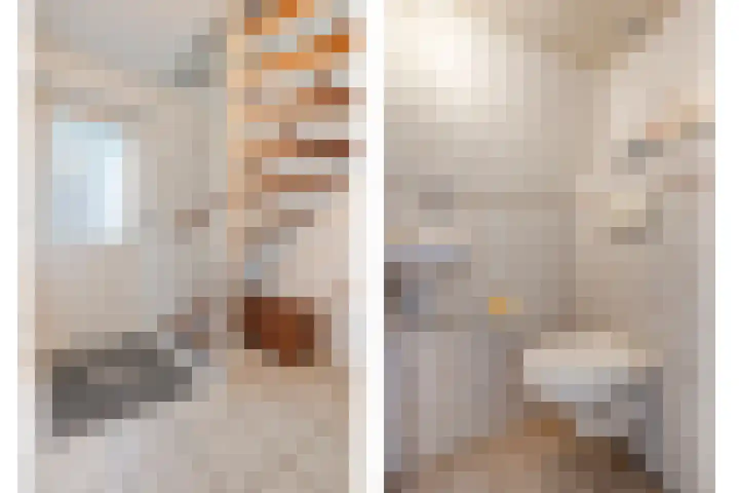 De Berken 13 Koekange thumbnail 18