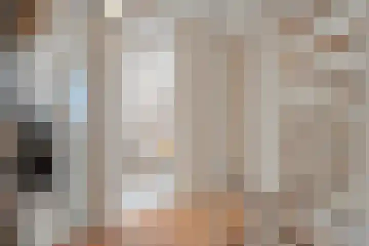 De Berken 13 Koekange thumbnail 19
