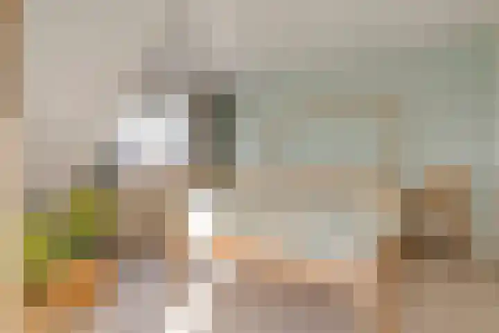 De Berken 13 Koekange thumbnail 21