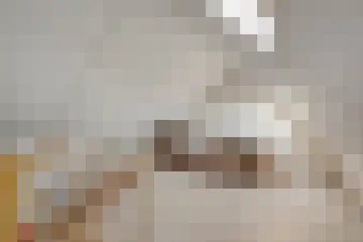 De Berken 13 Koekange thumbnail 30