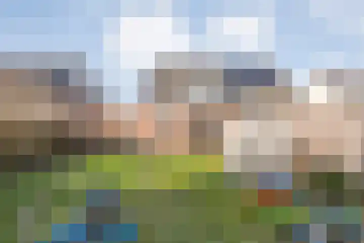 De Berken 13 Koekange thumbnail 33