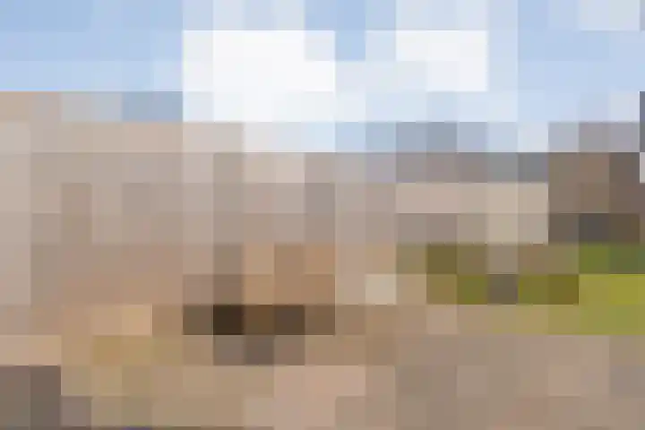 De Berken 13 Koekange thumbnail 35