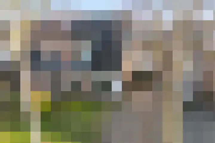 De Berken 13 Koekange thumbnail 37