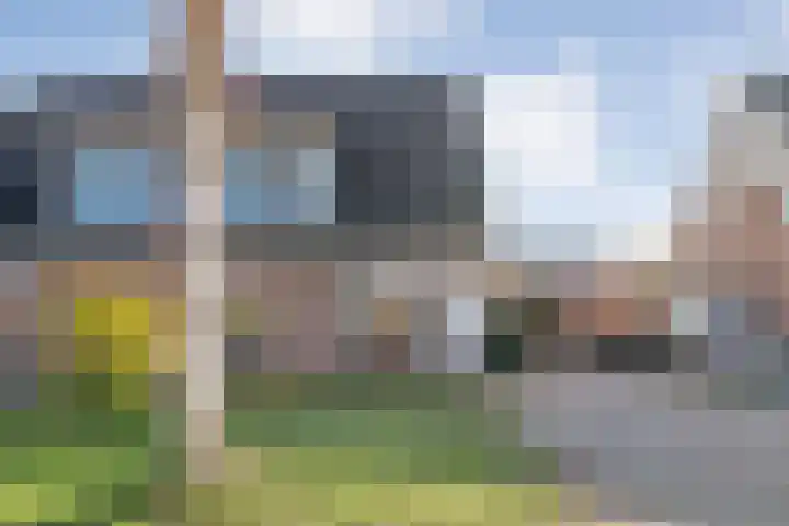 De Berken 13 Koekange thumbnail 5