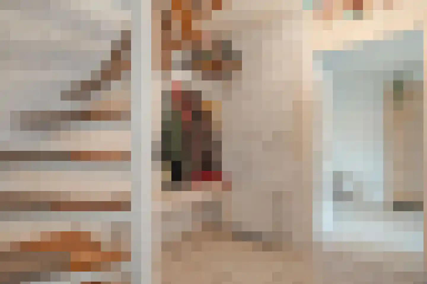 De Berken 13 Koekange thumbnail 7