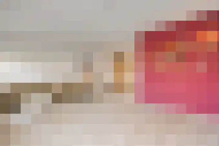 De Berken 13 Koekange thumbnail 9