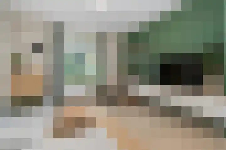 De Berken 27 Bussum thumbnail 4