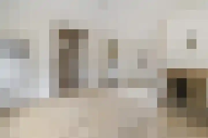 De Berken 29 Bussum thumbnail 5