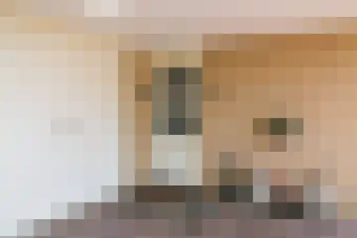 De Berken 3 Steenderen thumbnail 10