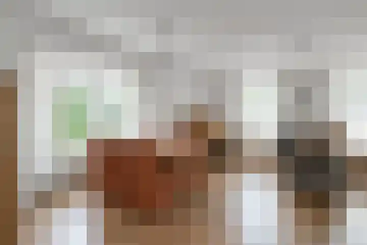 De Berken 3 Steenderen thumbnail 11