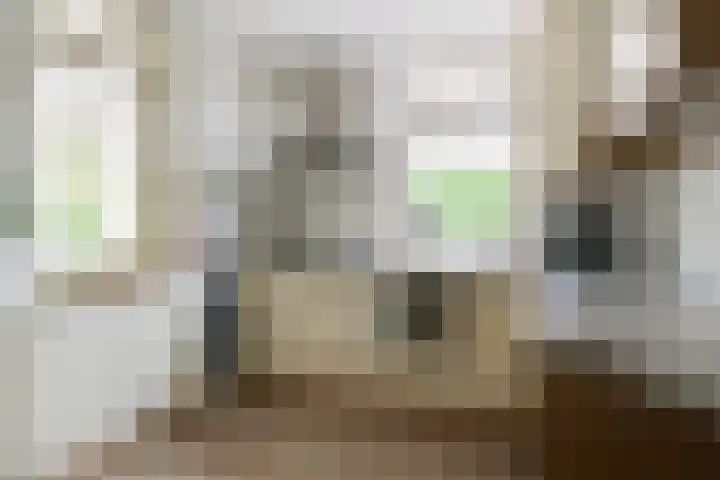 De Berken 3 Steenderen thumbnail 19