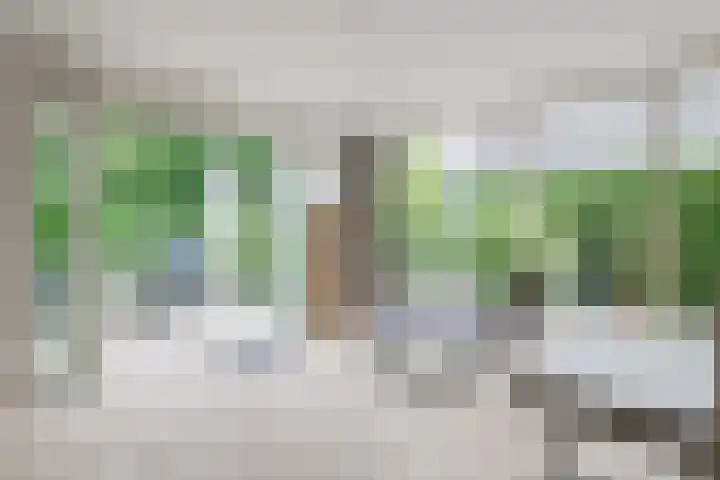 De Berken 3 Steenderen thumbnail 23