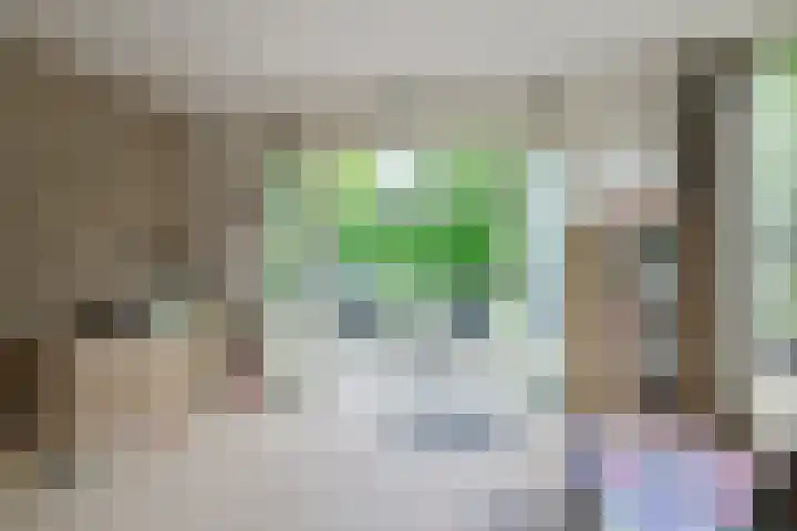 De Berken 3 Steenderen thumbnail 24
