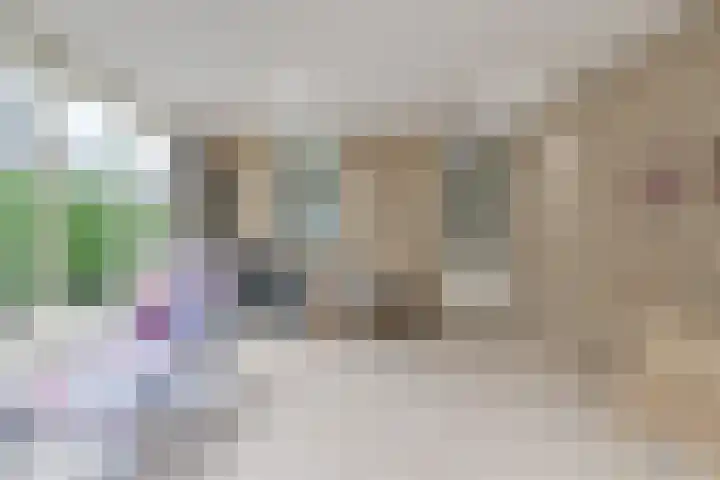 De Berken 3 Steenderen thumbnail 25