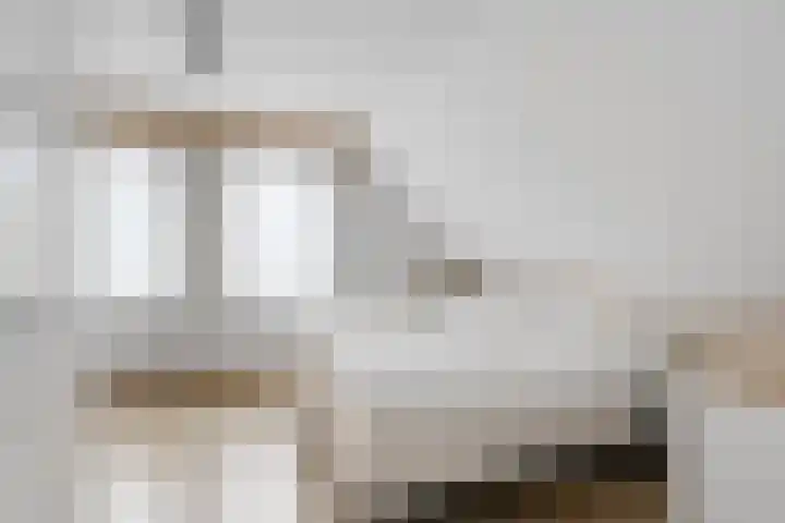 De Berken 3 Steenderen thumbnail 29