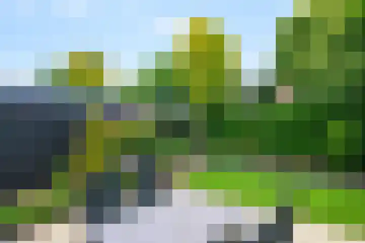 De Berken 3 Steenderen thumbnail 4