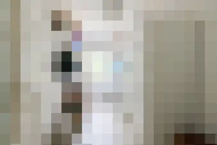 De Berken 3 Steenderen thumbnail 40