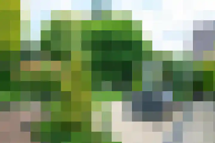De Berken 3 Steenderen thumbnail 43