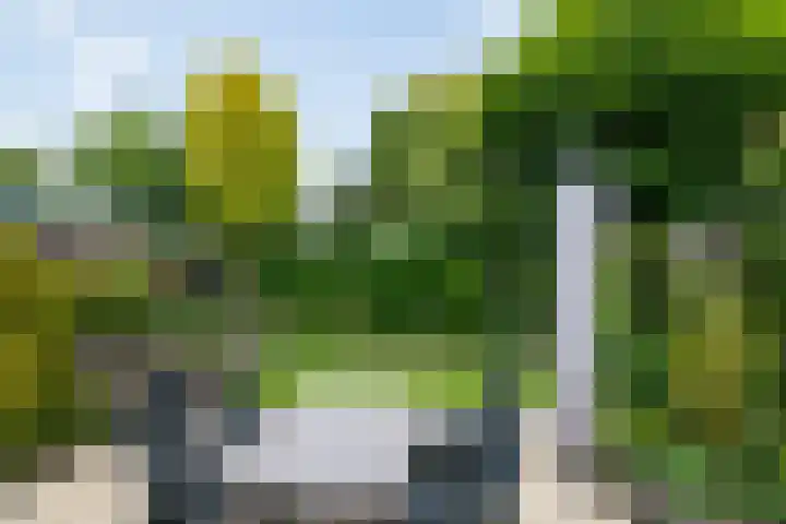 De Berken 3 Steenderen thumbnail 44