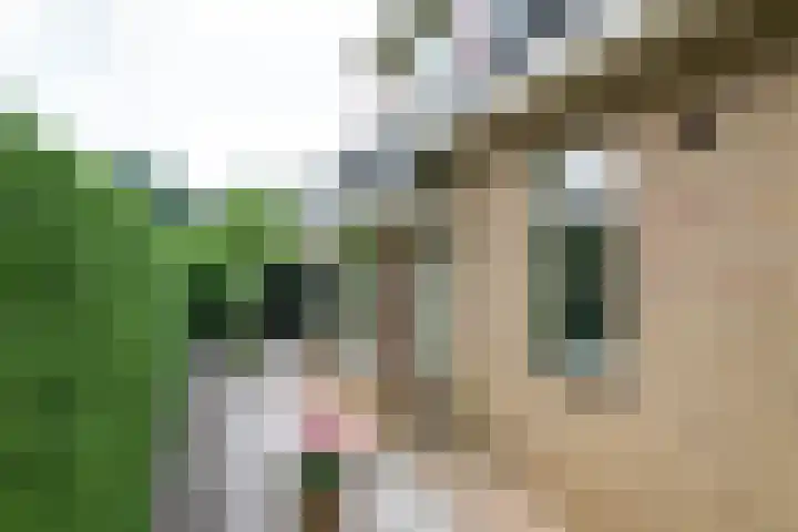 De Berken 3 Steenderen thumbnail 45