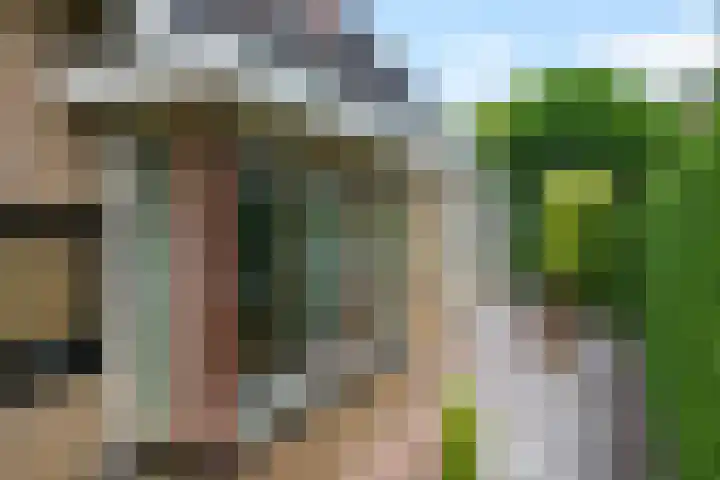 De Berken 3 Steenderen thumbnail 46