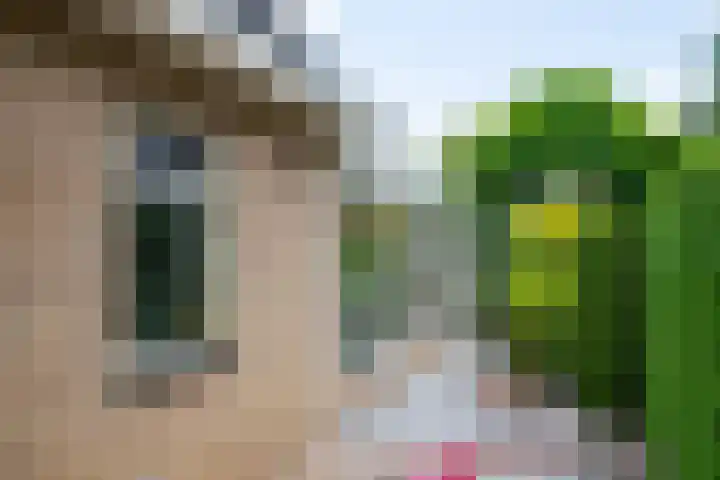 De Berken 3 Steenderen thumbnail 47
