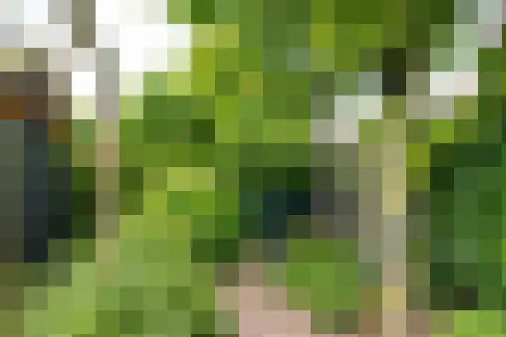 De Berken 3 Steenderen thumbnail 48