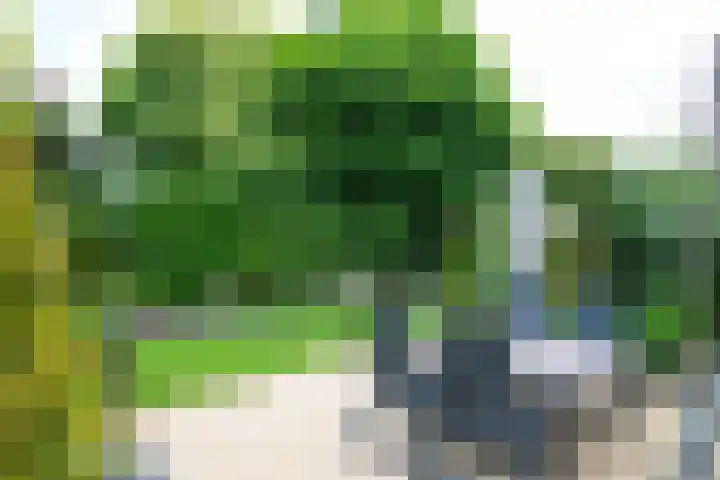 De Berken 3 Steenderen thumbnail 5