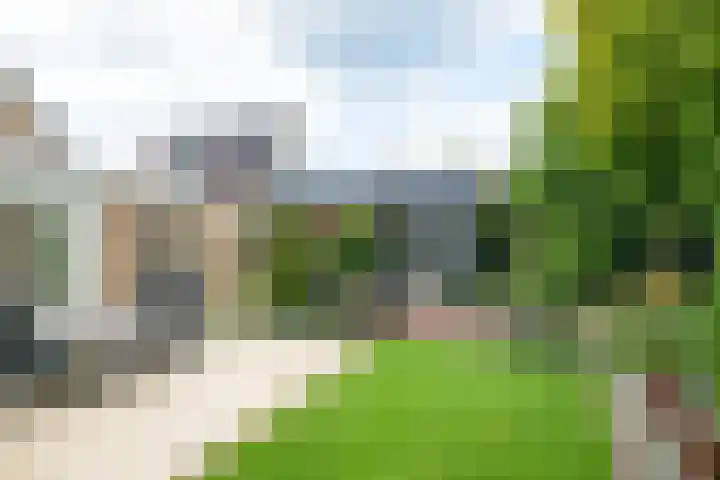 De Berken 3 Steenderen thumbnail 51