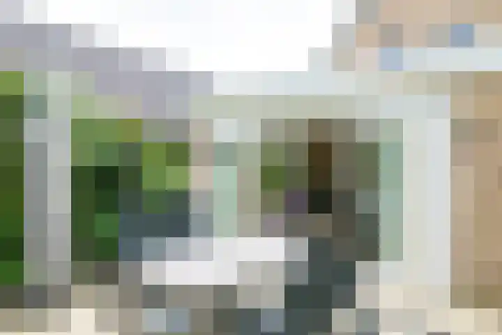 De Berken 3 Steenderen thumbnail 54