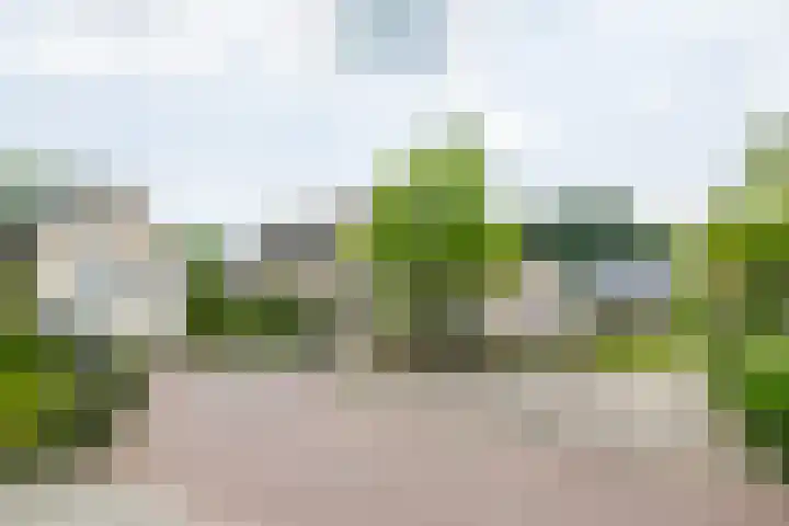 De Berken 3 Steenderen thumbnail 55