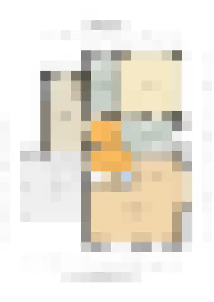 De Berken 3 Steenderen thumbnail 56