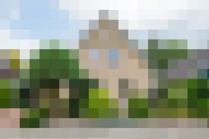 De Berken 3 Steenderen thumbnail 7