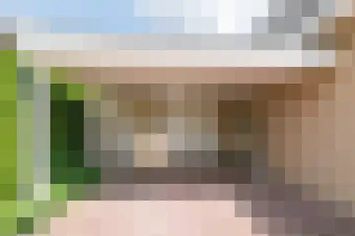 De Berken 3 Steenderen thumbnail 9