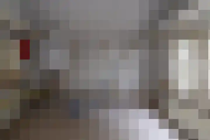 De Berken 30 Bussum thumbnail 11